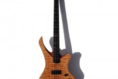 Stellar-Bass-Fabien-1